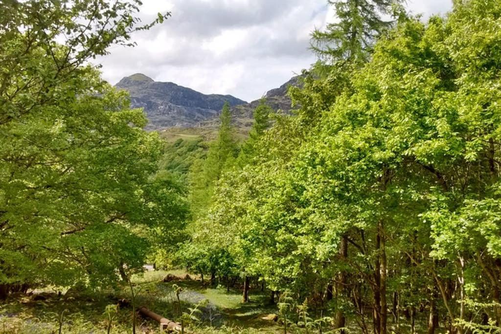 Ty Hen - Quirky Grade II Listed Cottage Blaenau Ffestiniog Εξωτερικό φωτογραφία